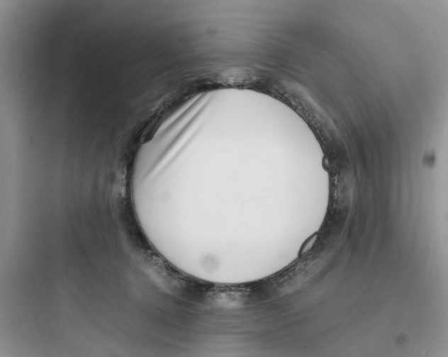 X0000097640368200803211837