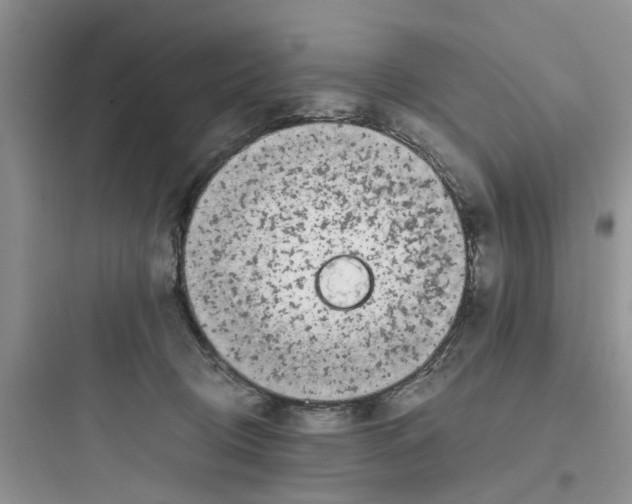 X0000097640370200803211837