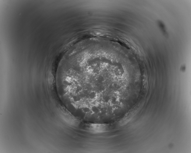 X0000097640371200803211837