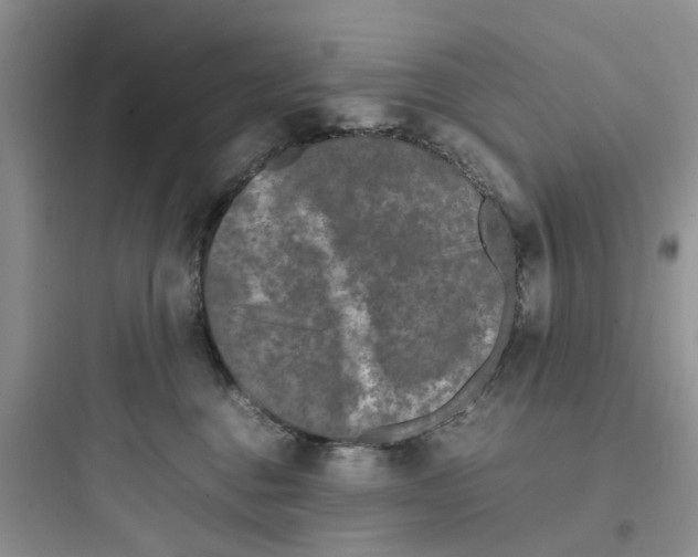 X0000097640376200803211838