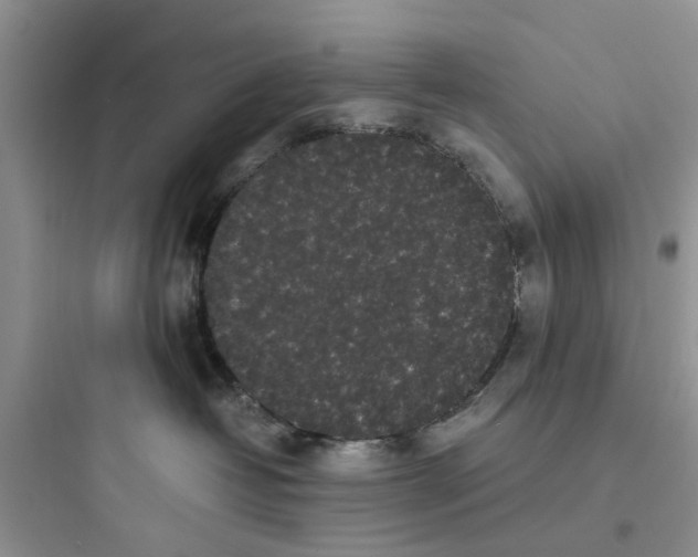 X0000097640382200803211838