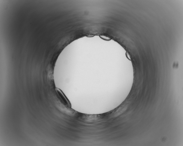 X0000097640384200803211838