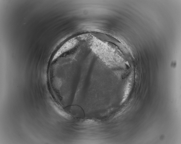 X0000097640390200803211837