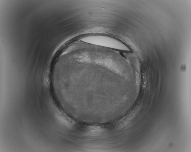 X0000097640392200803211837