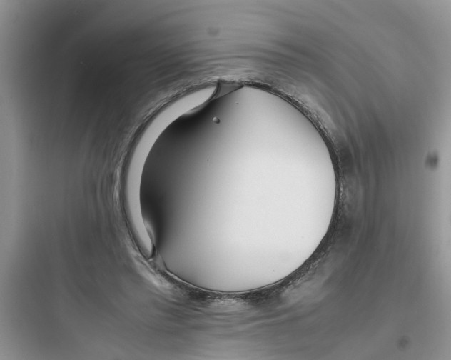 X0000097640397200803211837