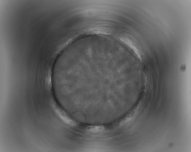 X0000097640398200803211837