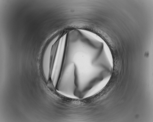 X0000097640399200803211837