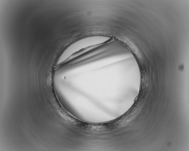 X0000097640401200803211837