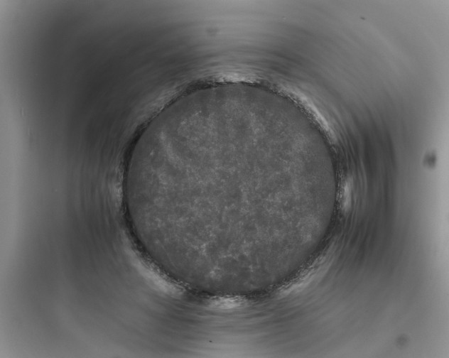 X0000097640402200803211837