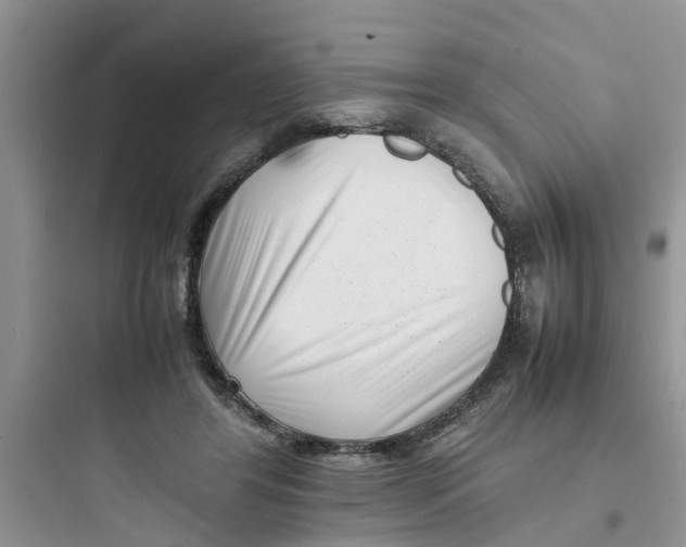 X0000097640404200803211837