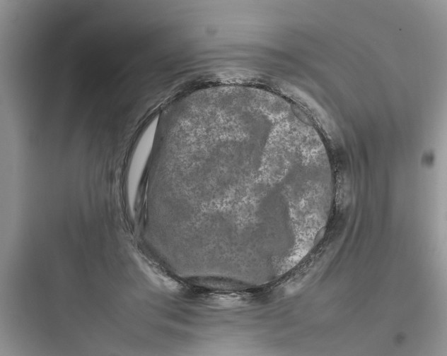 X0000097640405200803211837