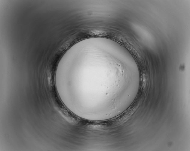 X0000097640408200803211837