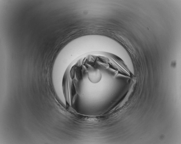 X0000097640409200803211837