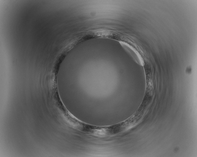 X0000097640411200803211837