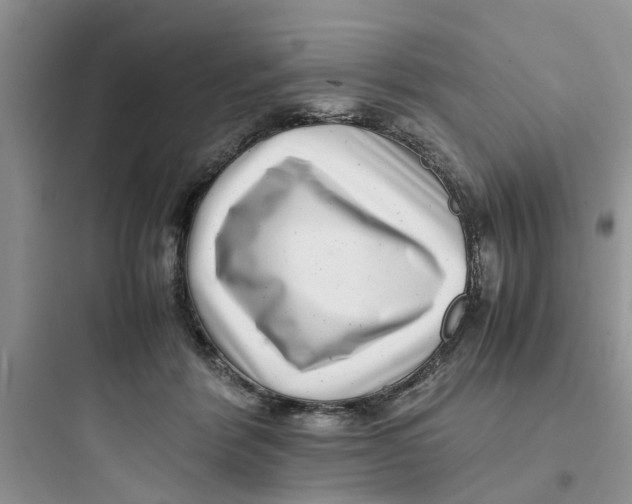 X0000097640412200803211837