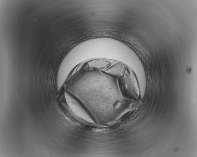 X0000097640414200803211837