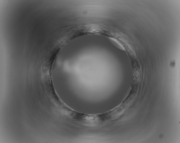 X0000097640415200803211837