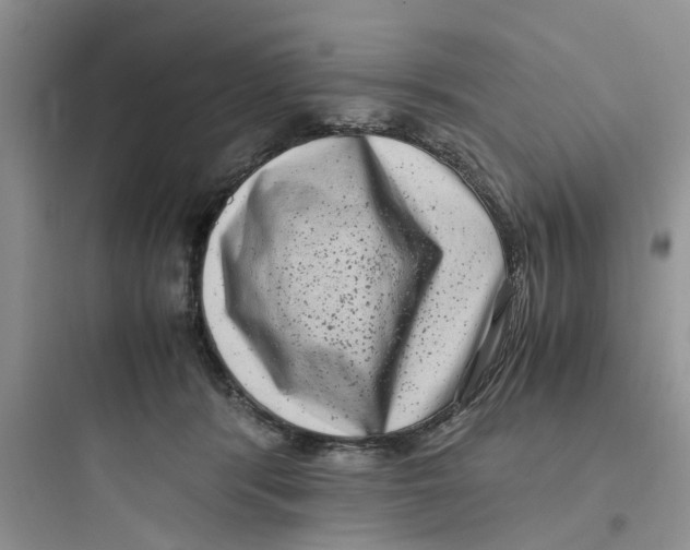 X0000097640416200803211837