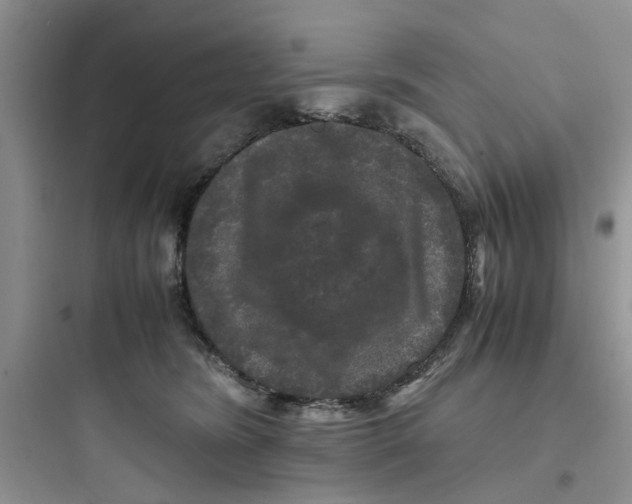 X0000097640420200803211836