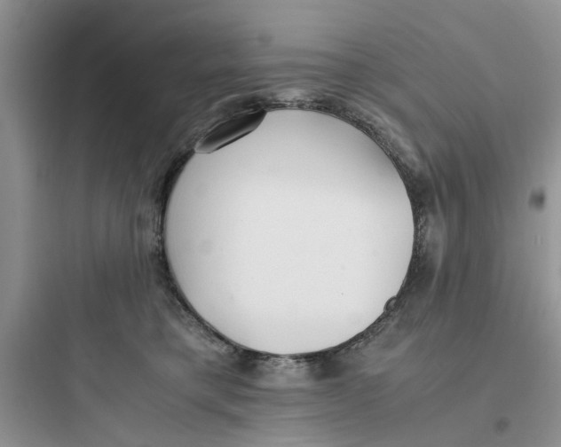 X0000097640421200803211836