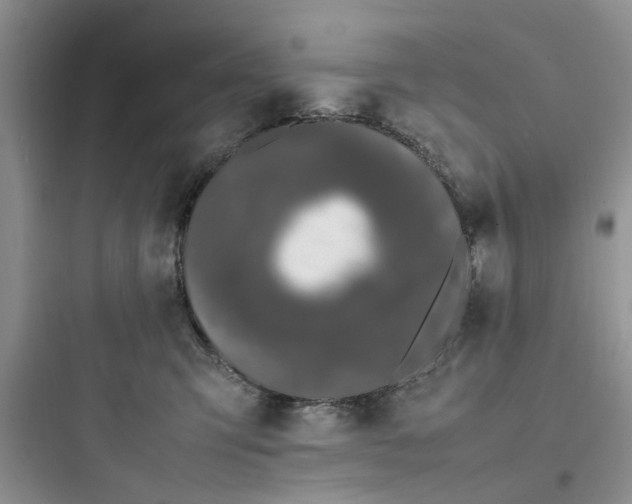 X0000097640423200803211836