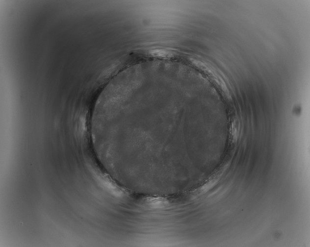 X0000097640424200803211836