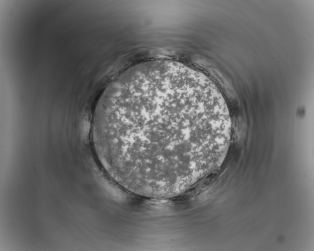 X0000097640427200803211836