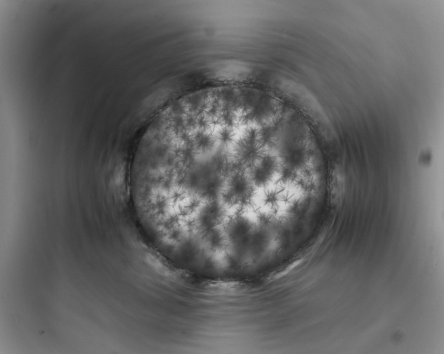 X0000097640428200803211836