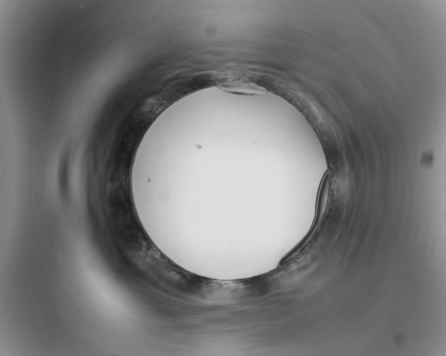 X0000097640429200803211836