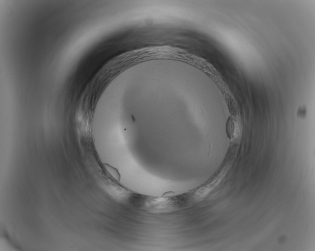 X0000097640431200803211836