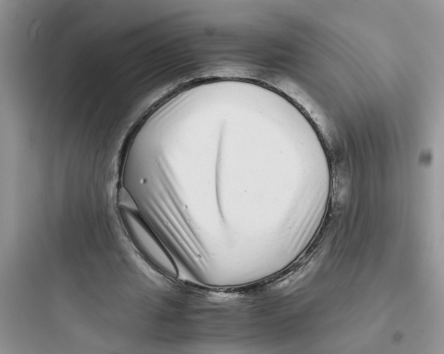 X0000097640437200803211836