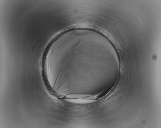 X0000097640438200803211836