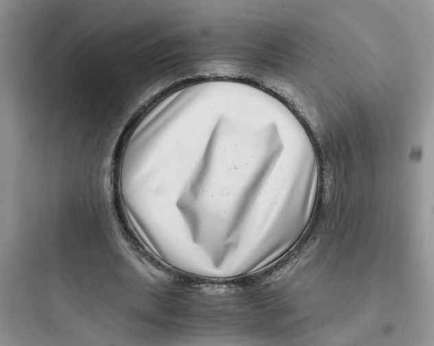 X0000097640439200803211836