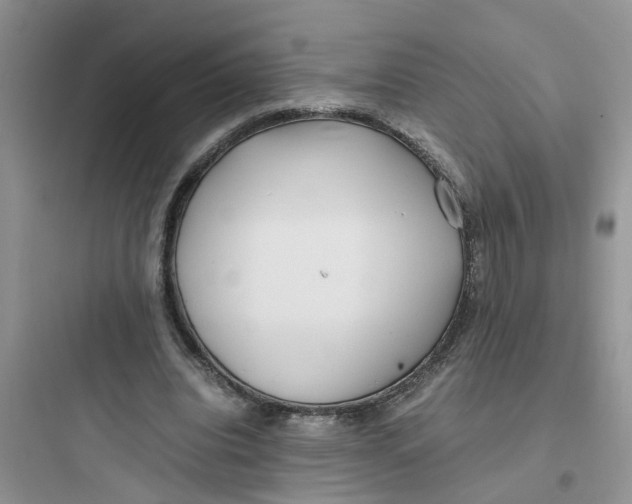 X0000097640440200803211836