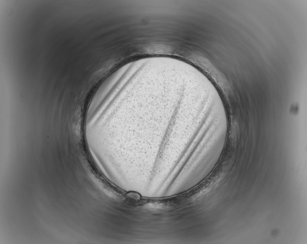 X0000097640441200803211836