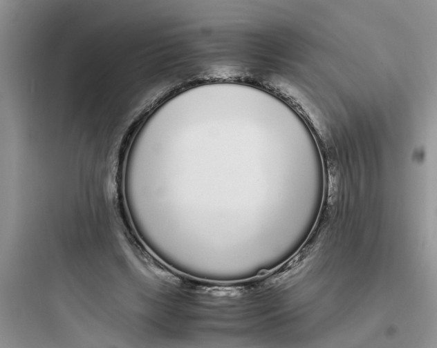 X0000097640443200803211836