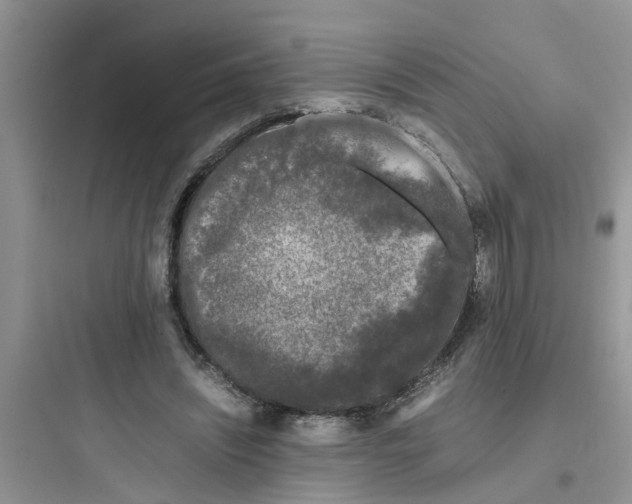 X0000097640444200803211836