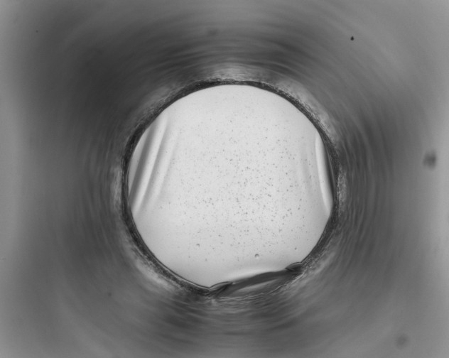 X0000097640445200803211836