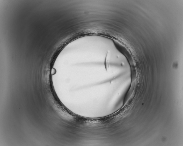 X0000097640446200803211836