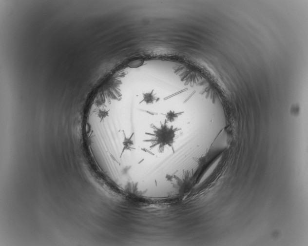 X0000097640447200803211836