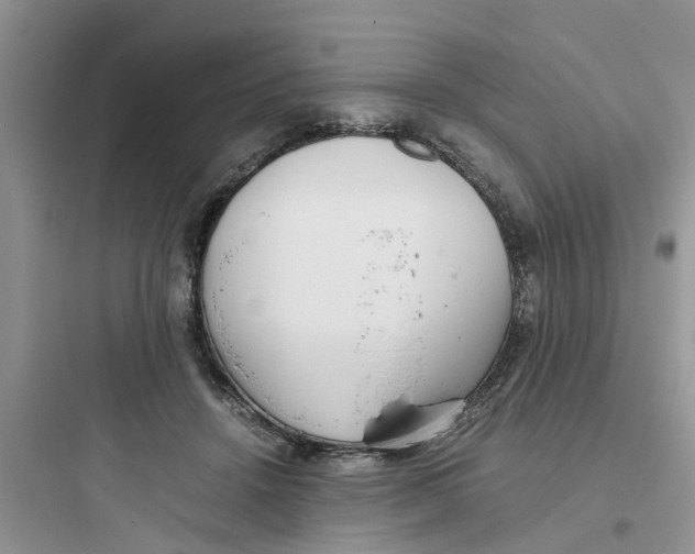 X0000097640456200803211836