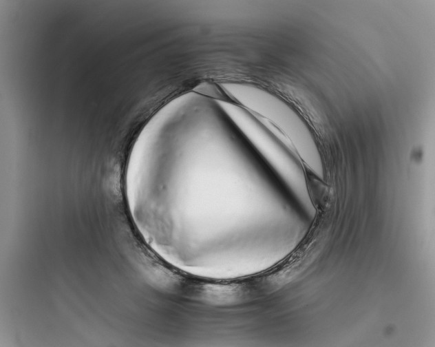 X0000097640457200803211836