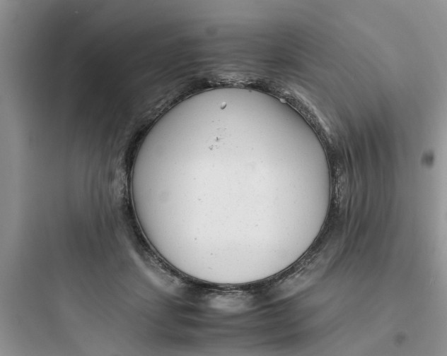 X0000097640459200803211836