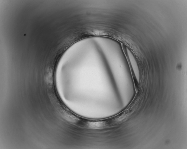 X0000097640461200803211836