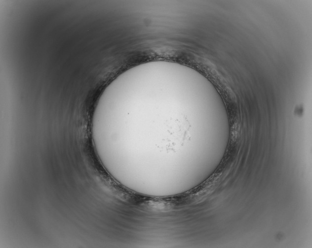 X0000097640464200803211836