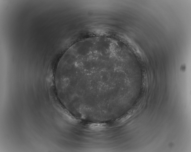 X0000097640465200803211836