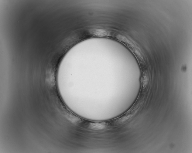 X0000097640469200803211836