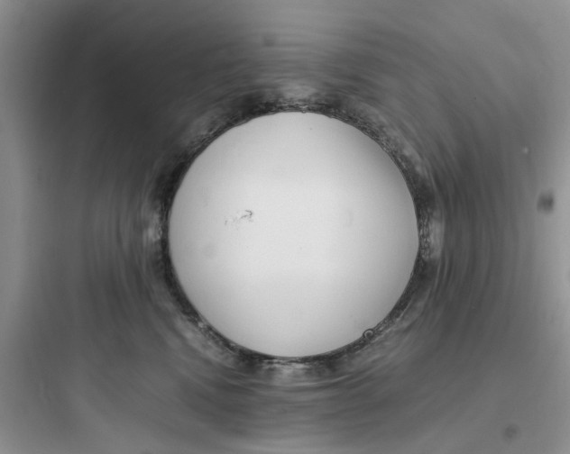 X0000097640472200803211836