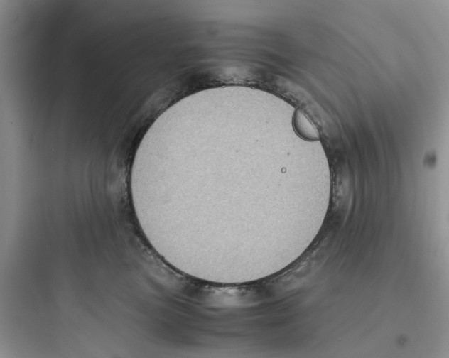 X0000097640473200803211836