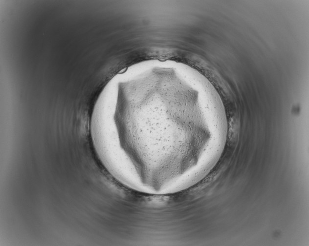 X0000097640474200803211836